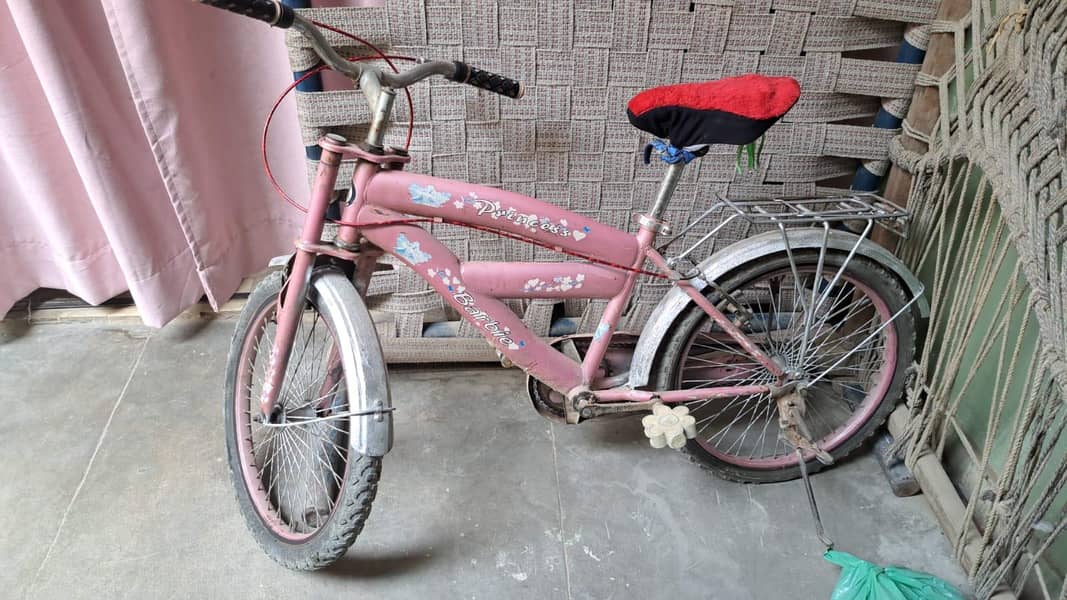 Pink Cycle 0