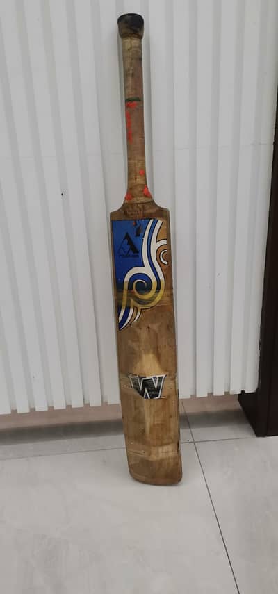 Hard Ball Cricket Bat English Willow