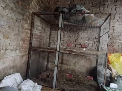 steel hen cage for sale phone number 03484526408