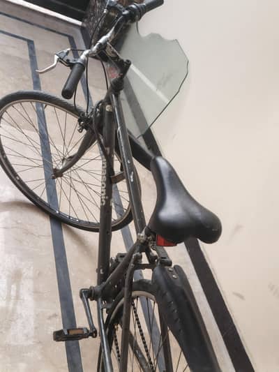 1 Gear Sport Cycle – Thin Tyre – Perfect Condition