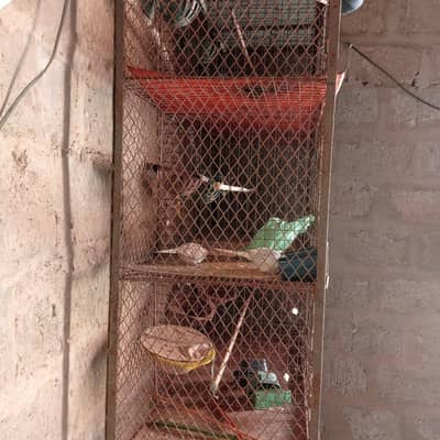 Cage for sale