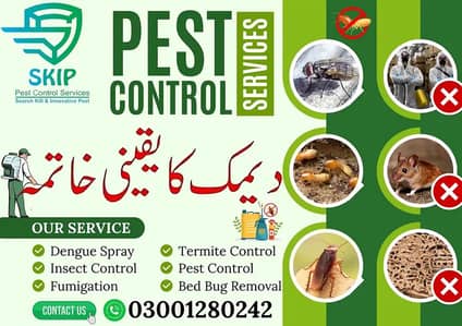 Dengue Spary/Termite Control/Deemak Control/Fumgation/Pest control Ser