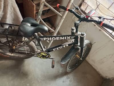 phonex Cycle For sale