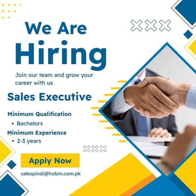 Sales Executive