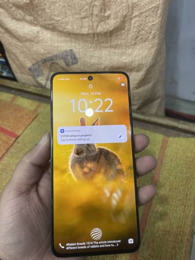 Vivo v60 lite 4g 8gb 256gb