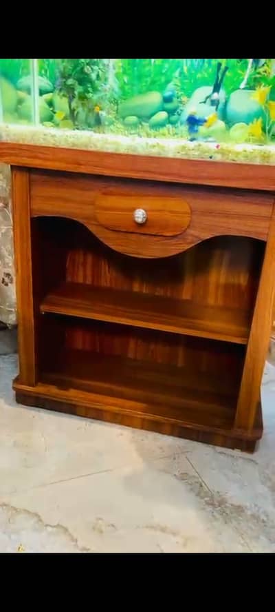 Fish aquarium with double nozzle pump and fishes