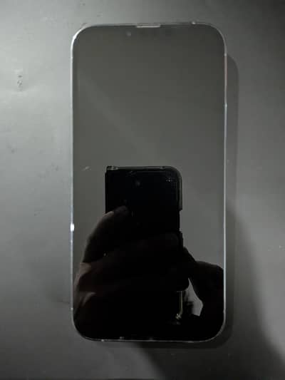 iphone 13 pro max pta approved