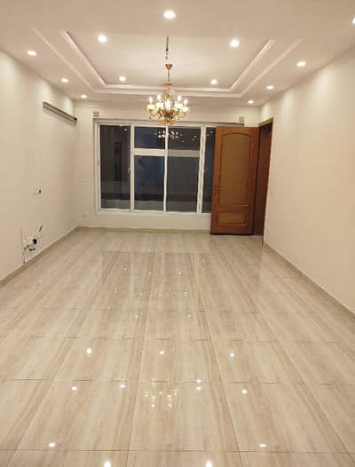 Spacious Ground Portion Fully Furnished Is Available In D-12/4 For Rent