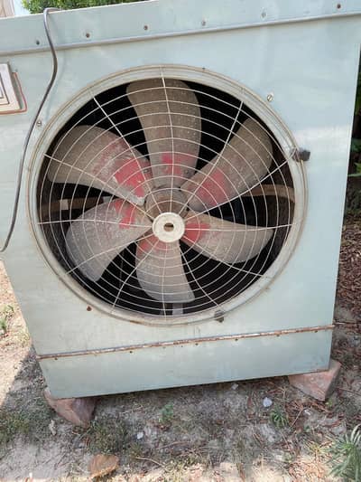 24 inches fan