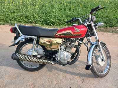 Honda 125 Gold Edition 23/24