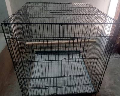 Birds cage