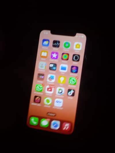iPhone X pta approved