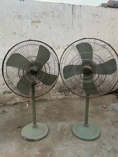 pedestal fans