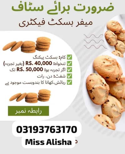 Buiscuit packing staff required male female hiring urgent factory