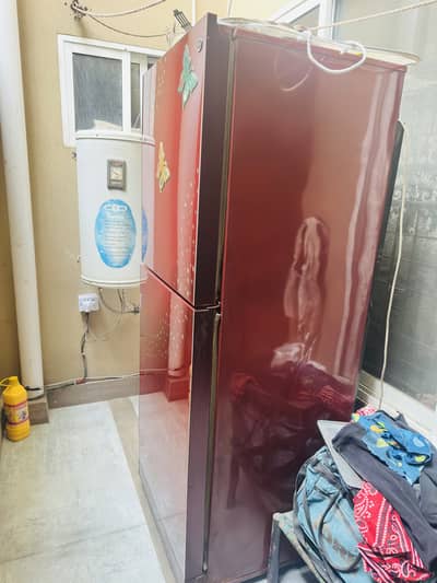 PEL freezer for sale