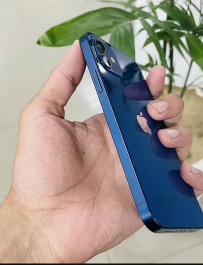 IPhone 12 256GB Pta Approved