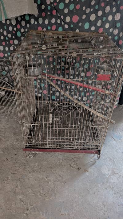 Metal Cage for Raw parrot