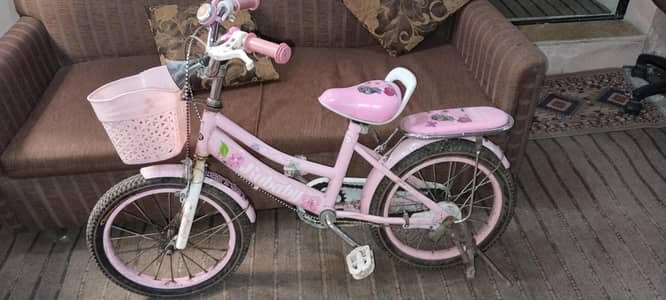 kids bicycle