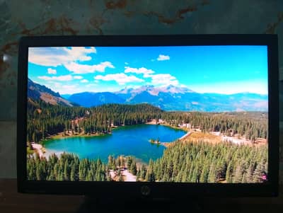 HP BRANDED 900p 60 HZ MONITOR (HP COMPAQ LA2006x)