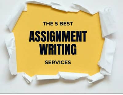 Assignment writer