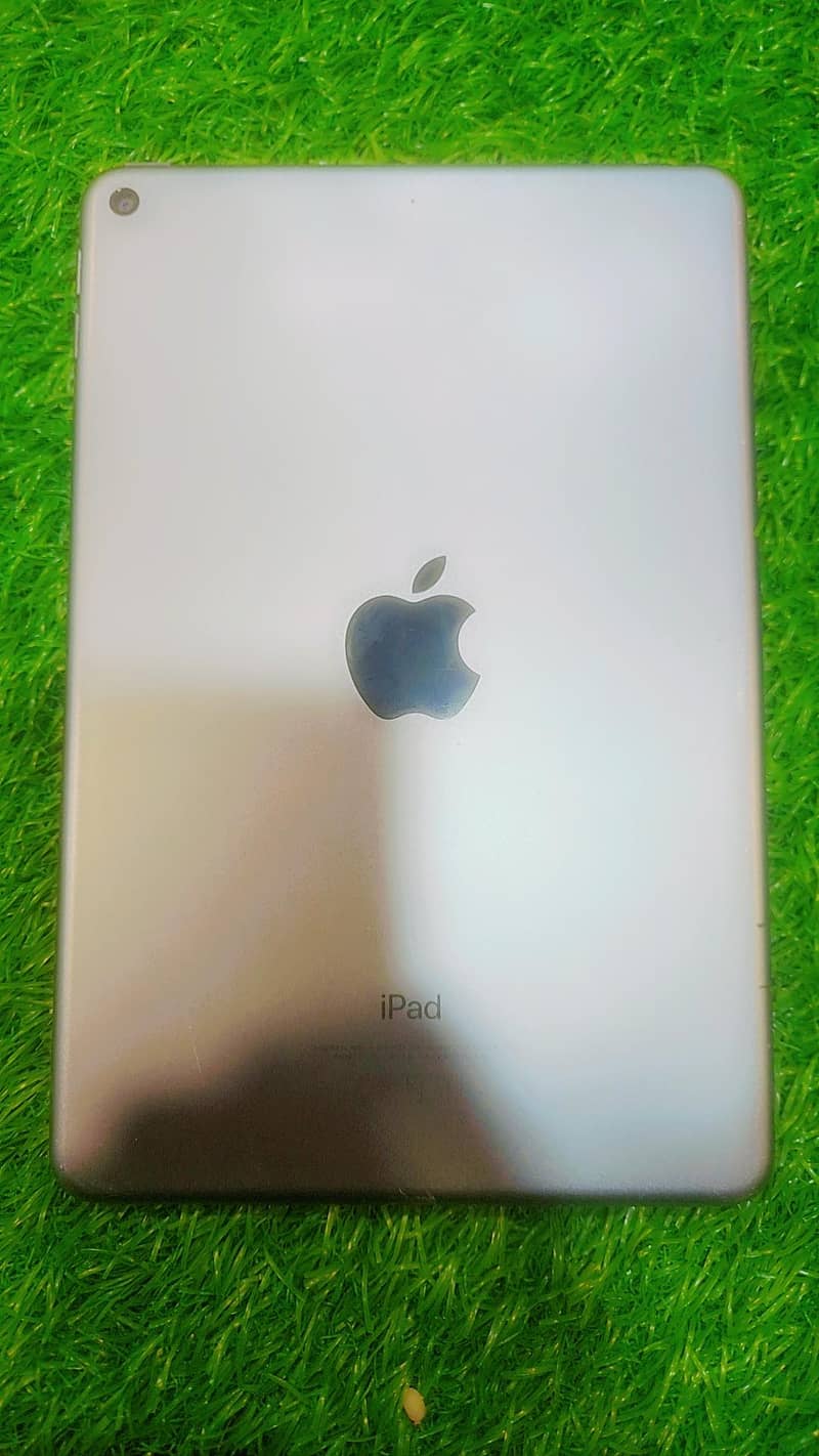 ipad mini 5 0