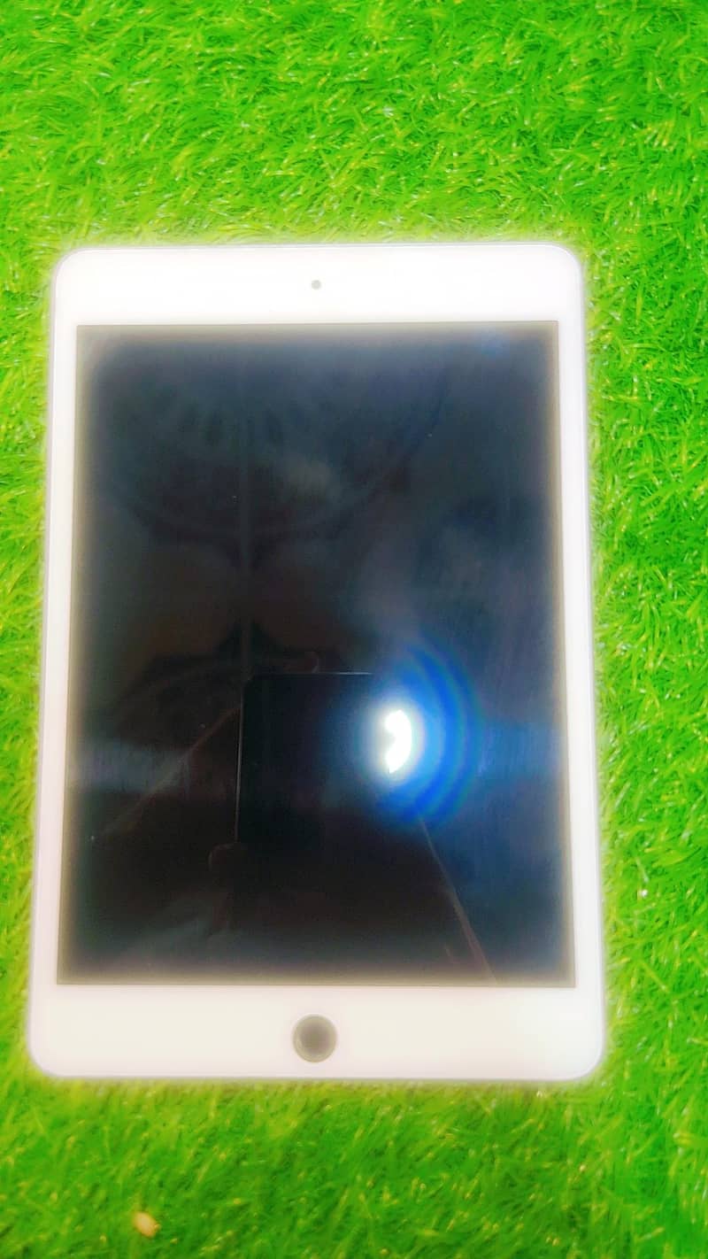 ipad mini 5 1