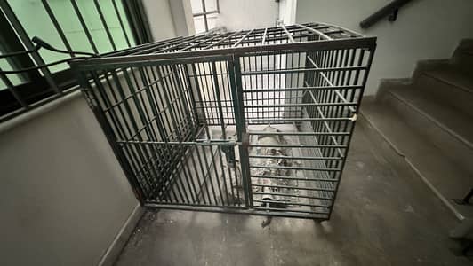 High quality cage for sale