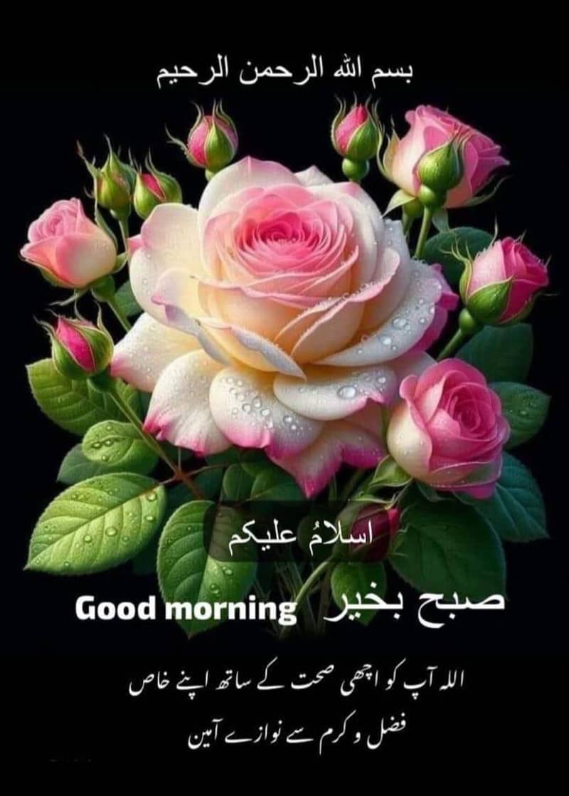 Help needed urgent 0