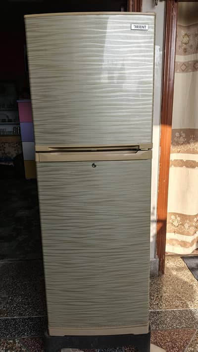 Neat and Clean Fridge