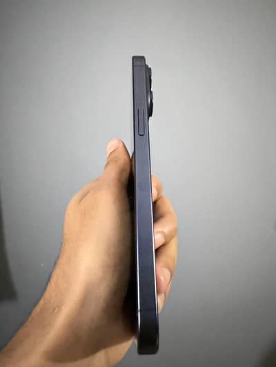 15 pro max factory unlock