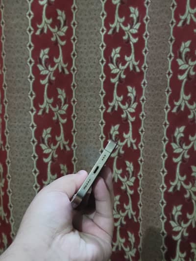 12 Pro Factory Unlock