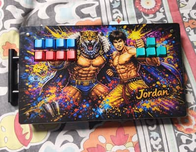 Custom Arcade Sticks