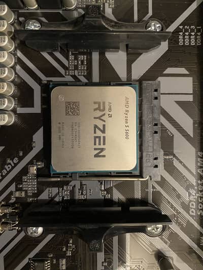 Ryzen 5 5600 10/10