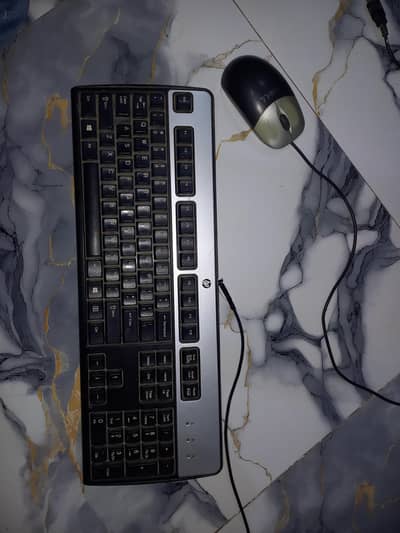 HP Keyboard + Dell Mouse – Original Brands – Bargain Deal!