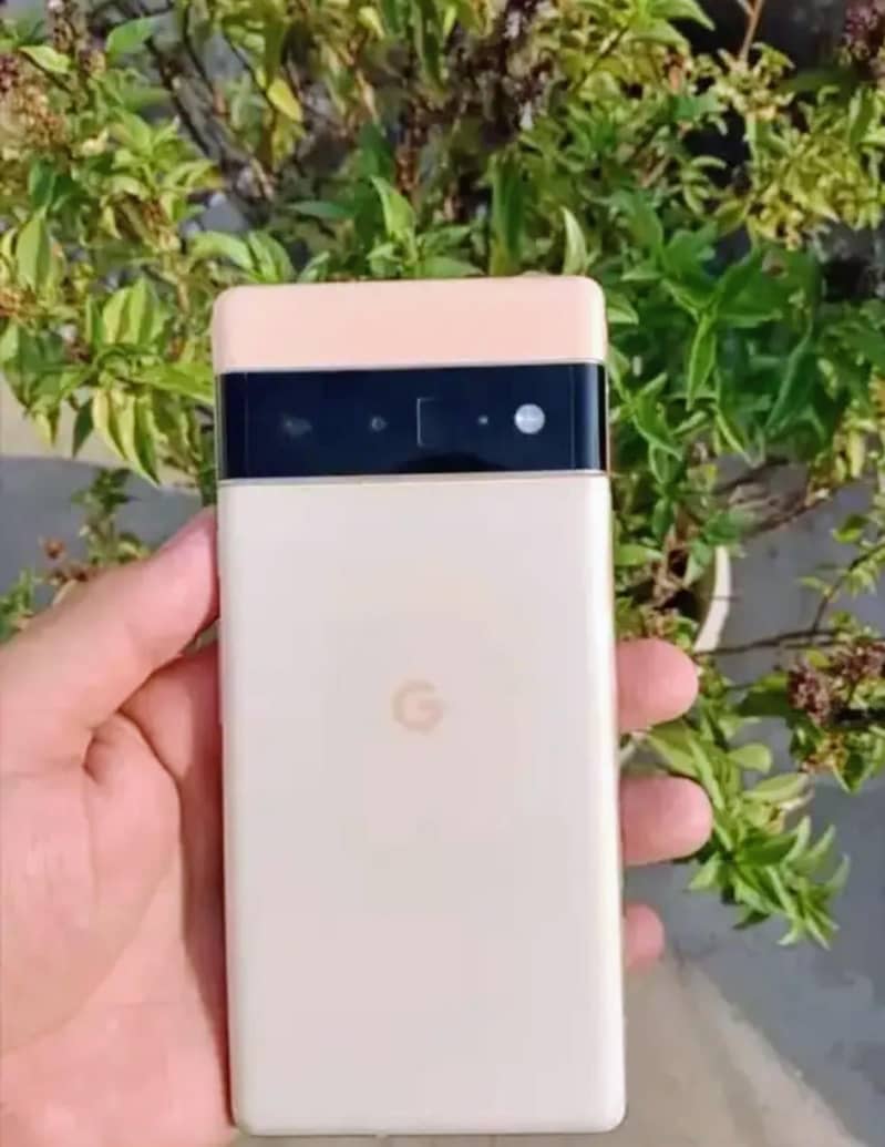 Google Pixel 6 pro 1