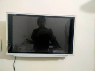 LED for Sale White Color