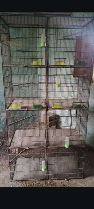 4 portion cage foresale 8 portion bhe hojatay han