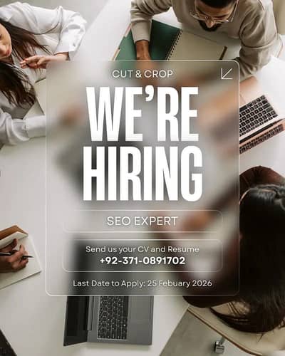 SEO EXPERT NEEDED ( ON-SITE PROJECT ) HIGH CHANCE OF PROMOTION