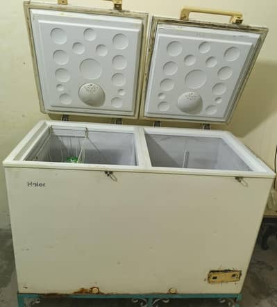 Haier Freezer