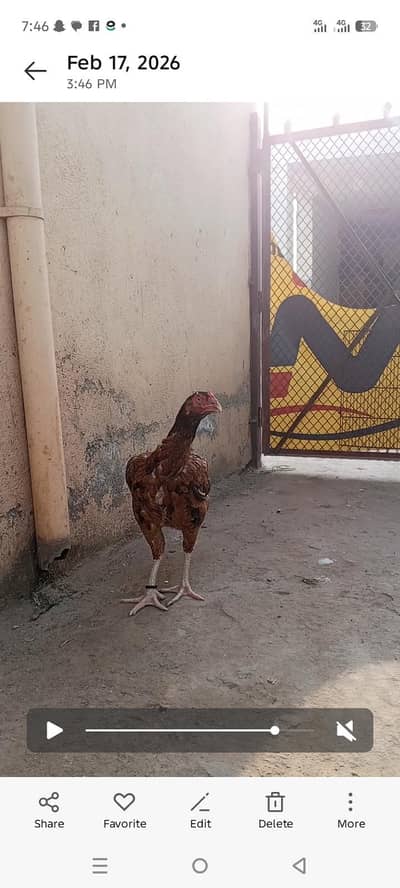 serious Byer contact karen