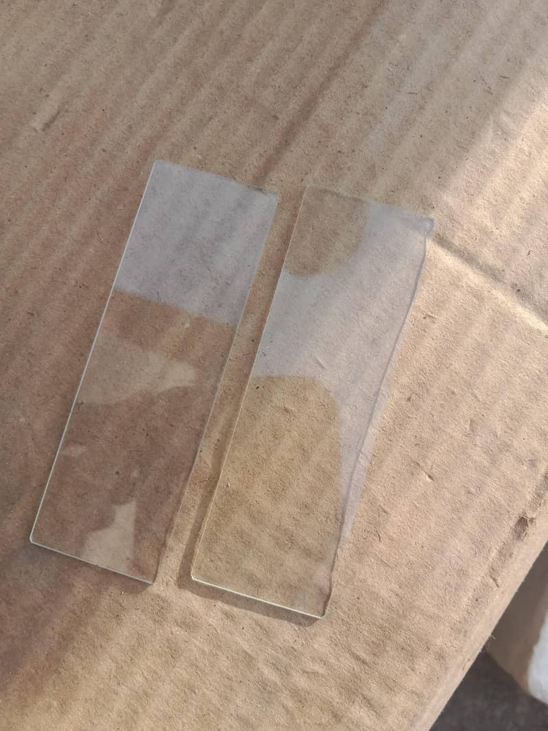 compound Microscope 1