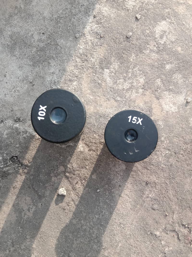 compound Microscope 3