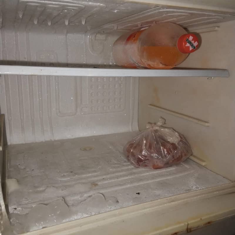Refrig 2