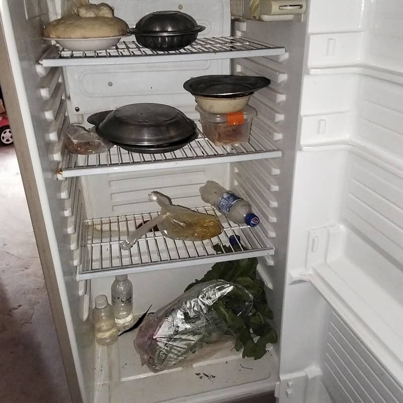 Refrig 4