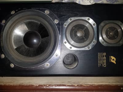 Sansui Woffer Speaker S-E 910  ( Japan )