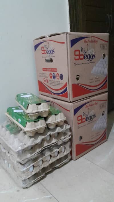 SB Eggs (Sadiq Brother)