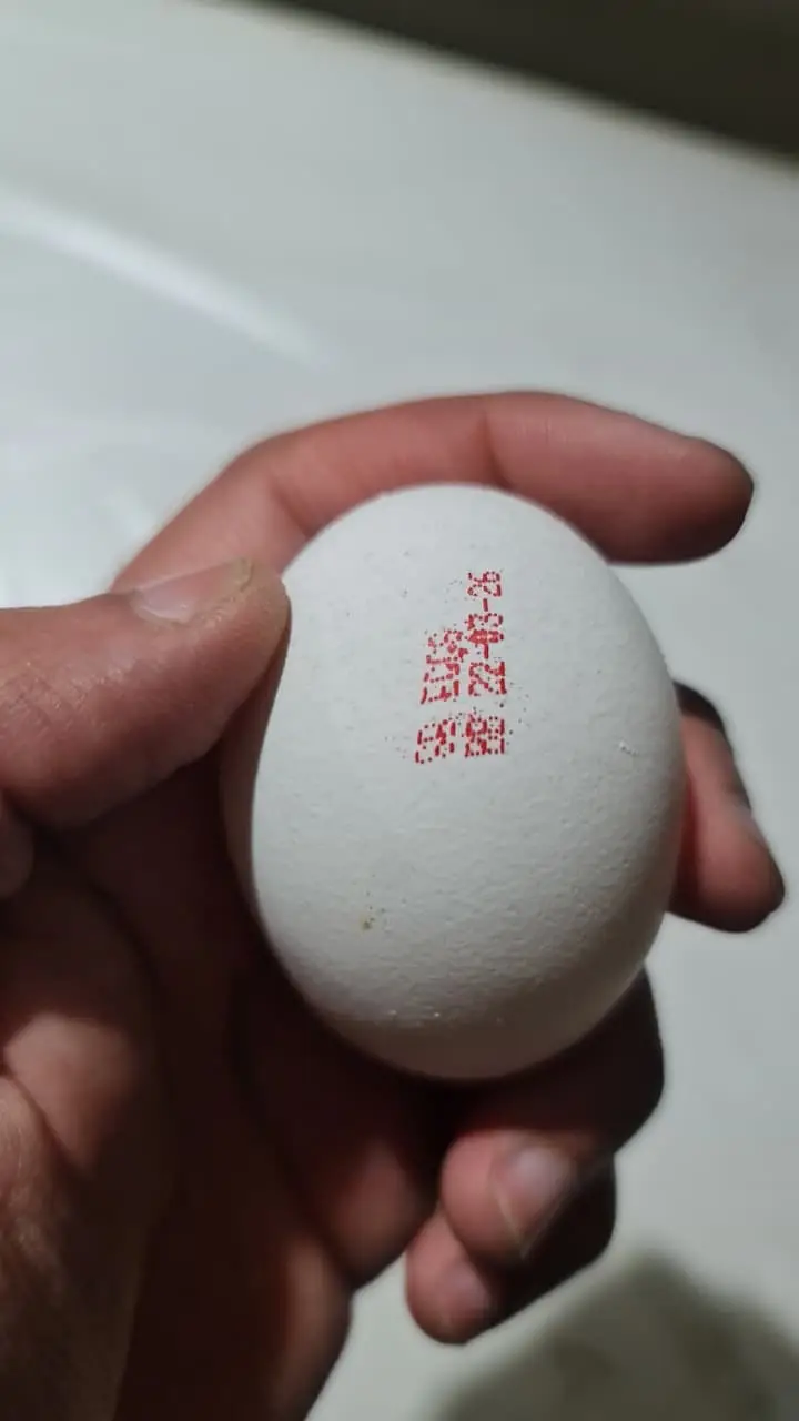 SB Eggs (Sadiq Brothers) — photo 3