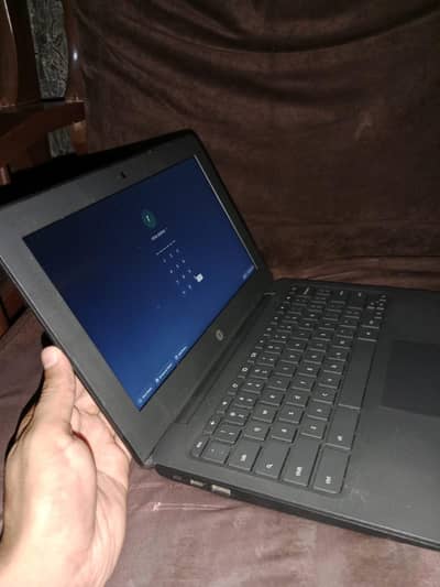 hp chromebook 3100