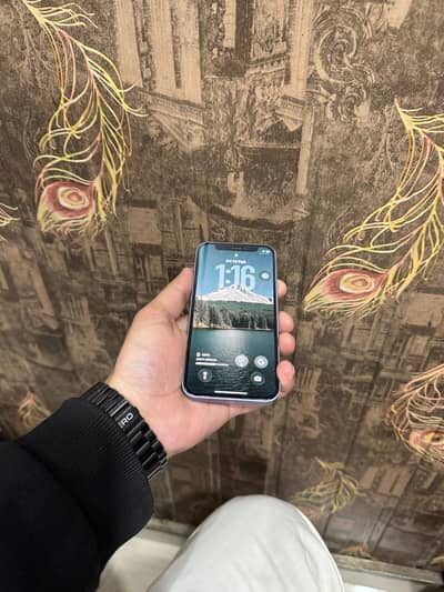 iPhone 12 mini lush condition