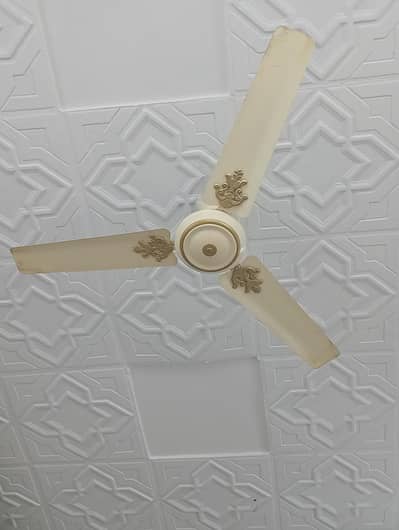 2 Pak Ceiling Fans